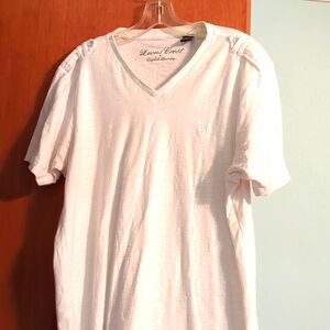 Men's cotton v neck 2 For $10